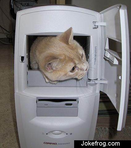 Gato no PC